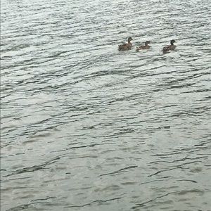 Meet your Posher, Kari